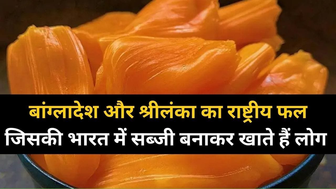 बांग्लादेश और श्रीलंका का राष्ट्रीय फल जिसकी भारत में सब्जी बनाकर खाते हैं लोग, पूरे साल में आता है 1 बार, जाने क्या है नाम