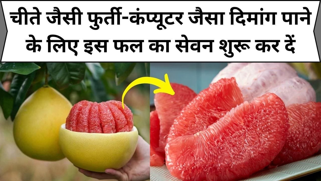 चीते जैसी फुर्ती-कंप्यूटर जैसा दिमांग पाने के लिए इस फल का सेवन शुरू कर दें, खेती के लिए 1 बार पेड़ लगाओ बार-बार कमाओ, जाने नाम