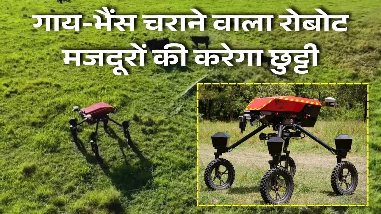 स्वैगबॉट