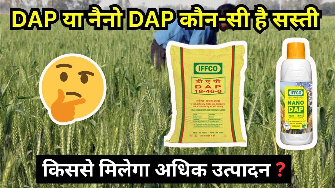 डीएपी या नैनो डीएपी