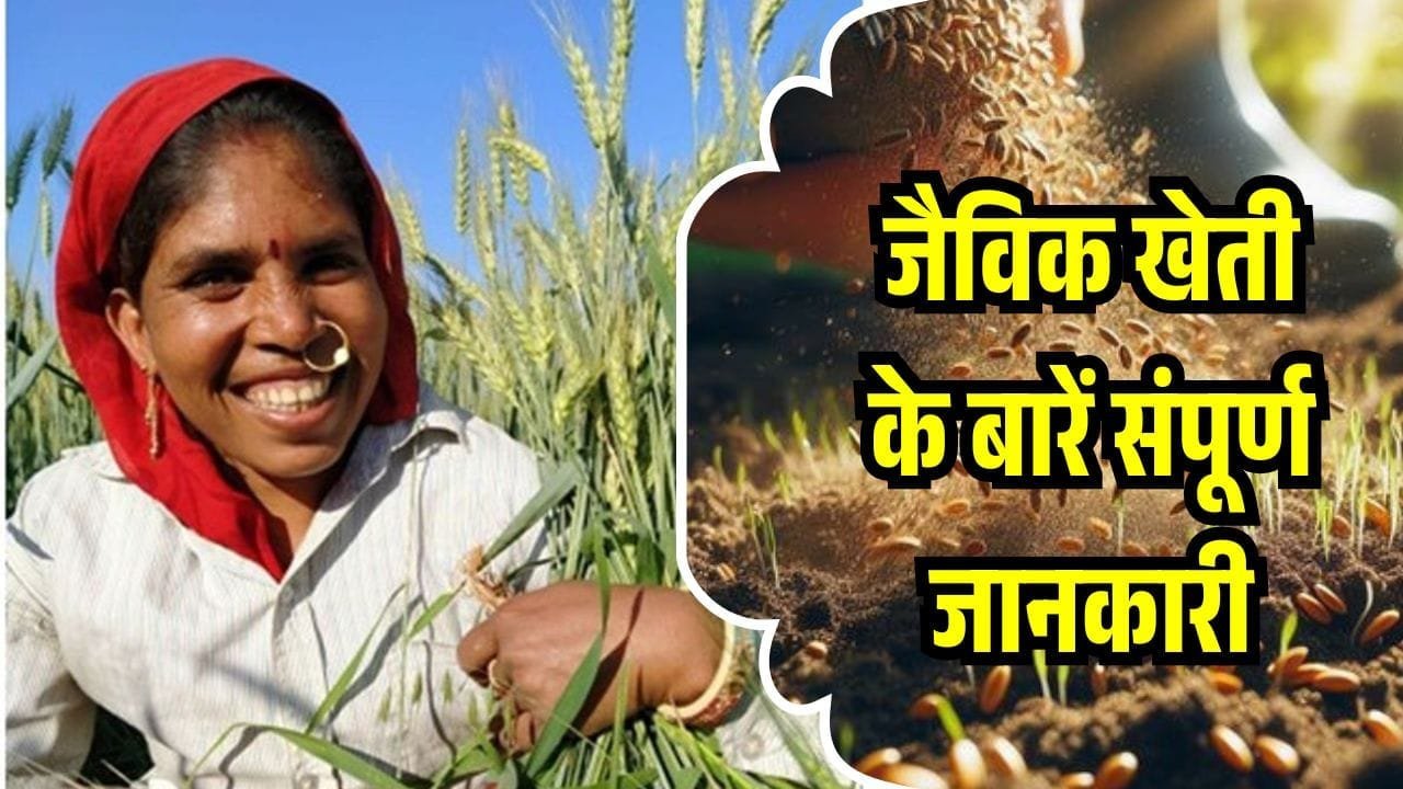 जैविक खेती