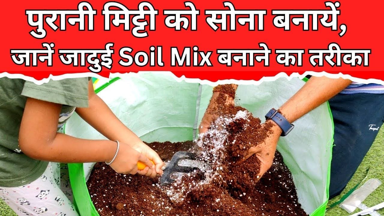 Soil Mix