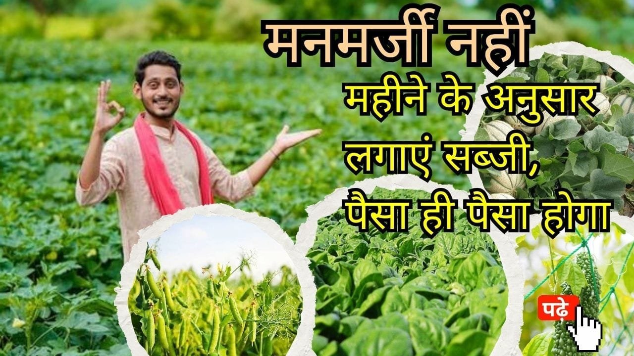 महीने के अनुसार सब्जी की खेती