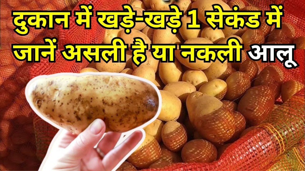 आलू की पहचान