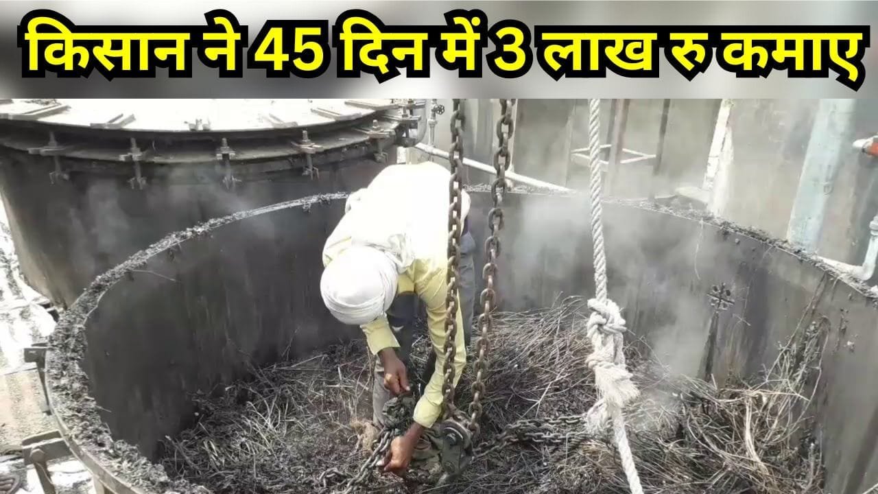 पिपरमेंट तेल का प्लांट