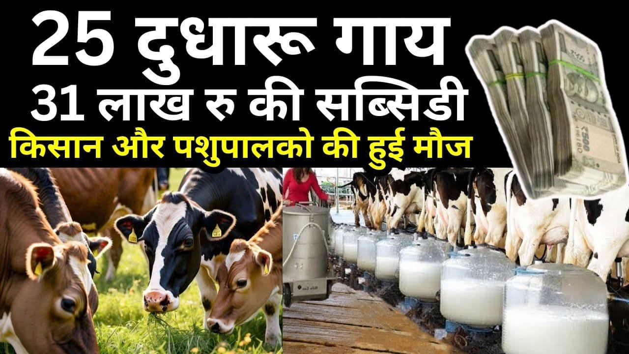 नंदिनी कृषक समृद्धि योजना