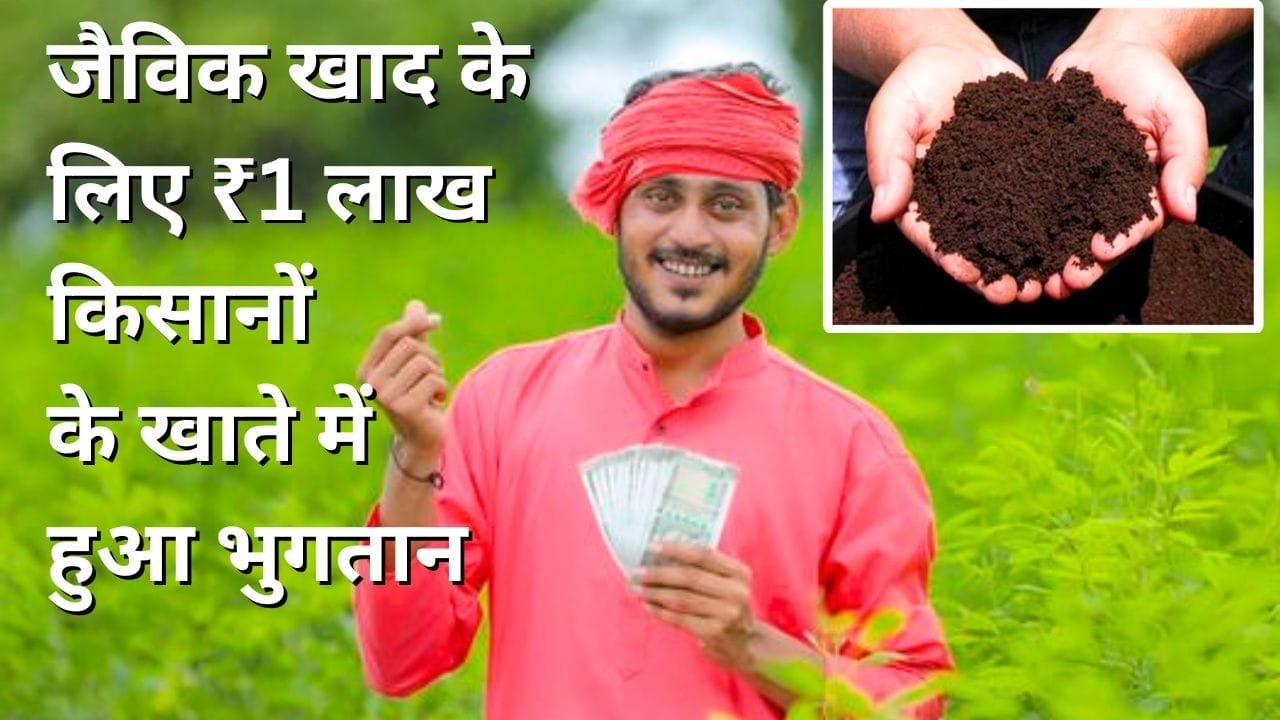 जैविक खाद