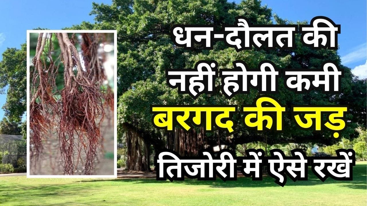 बरगद का पेड़