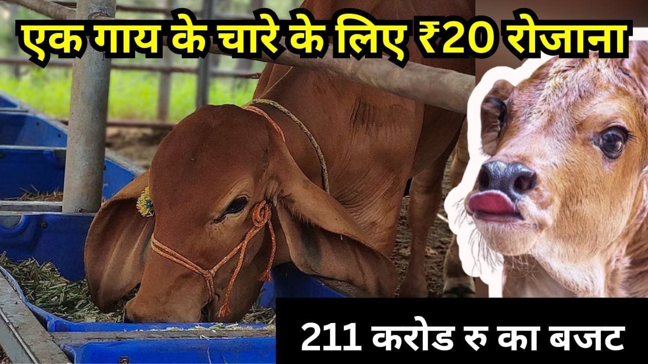 हरियाणा राज्य सरकार