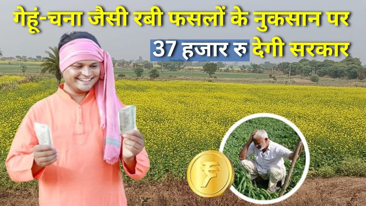 प्रधानमंत्री फसल बीमा योजना