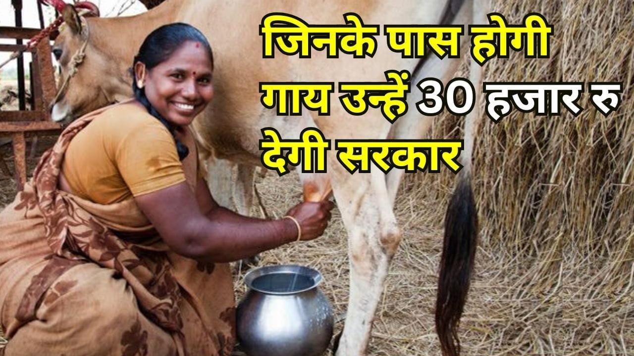 हरियाणा