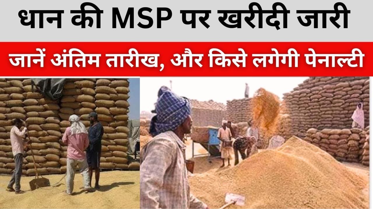 धान की खरीदी