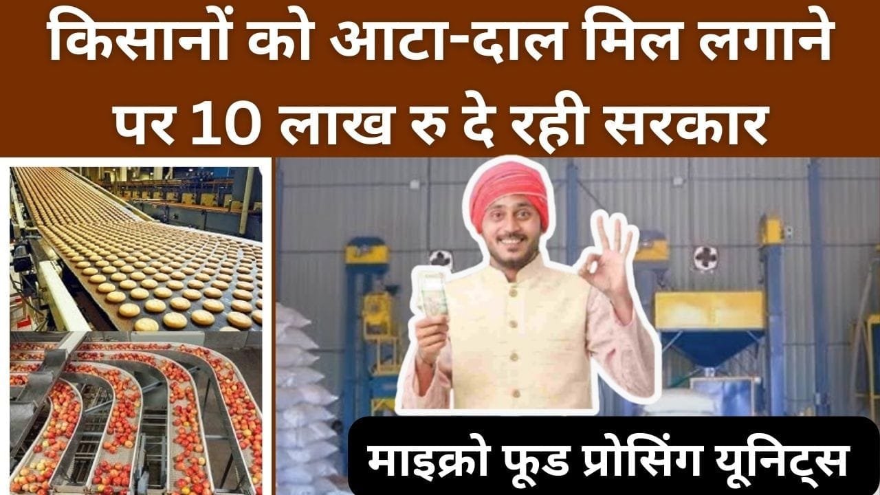 प्रधानमंत्री सूक्ष्म खाद्य उद्योग उन्नयन योजना