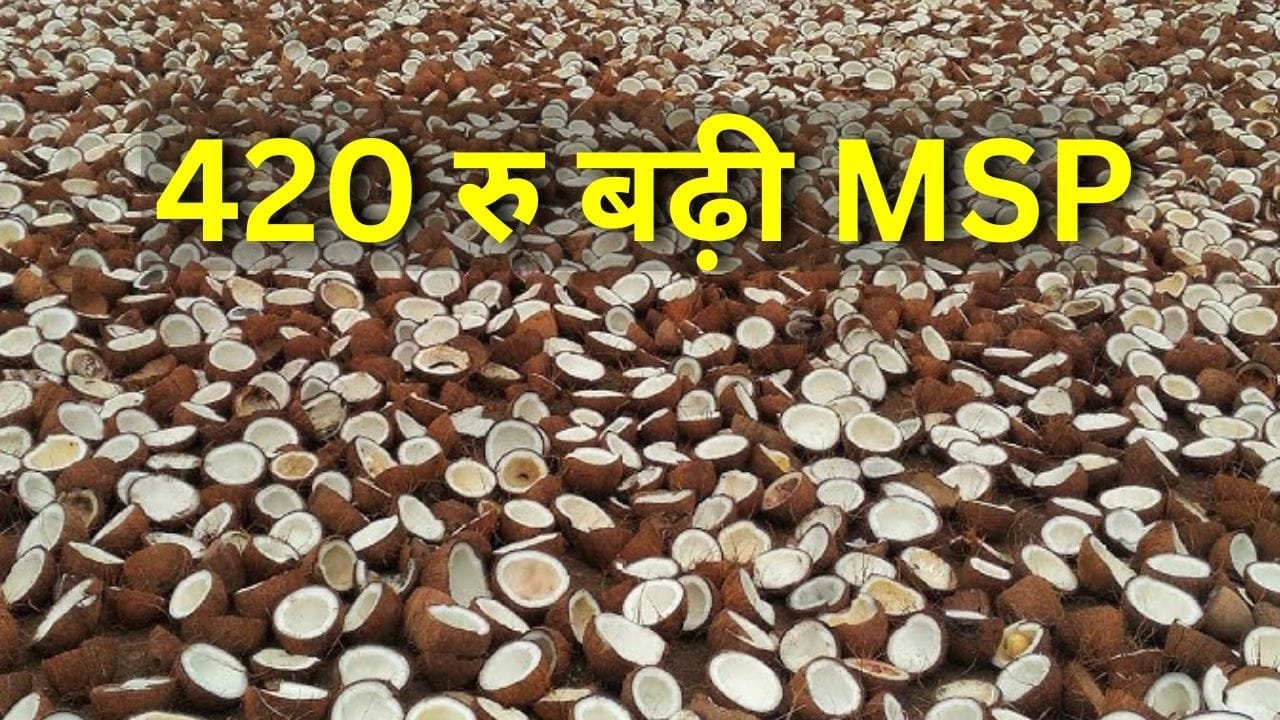 कोपरा (नारियल)