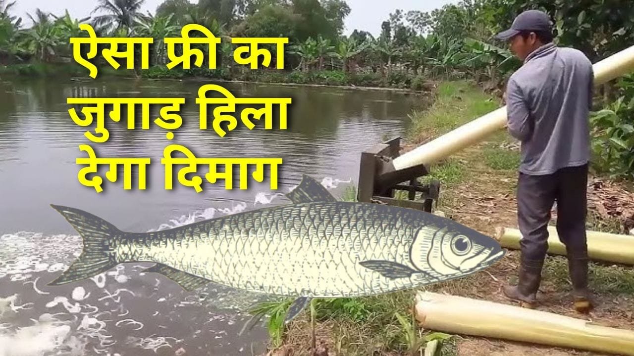 मछली पालन