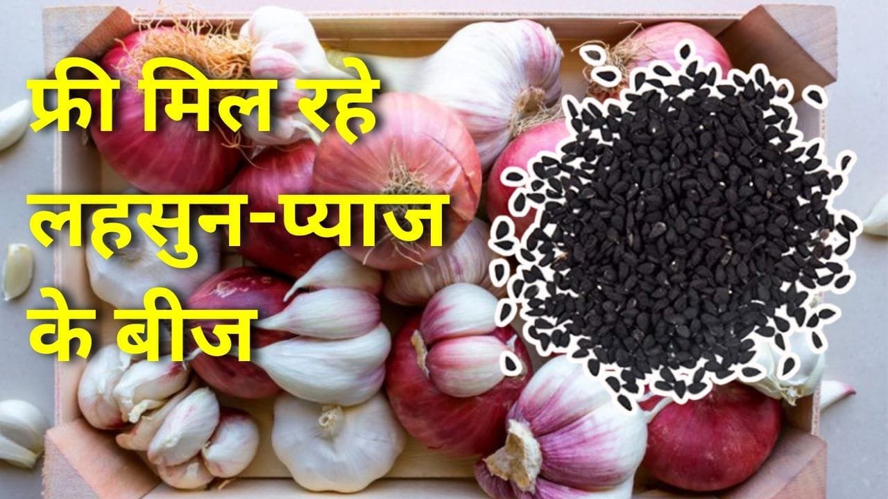 एकीकृत बागवानी विकास मिशन योजना