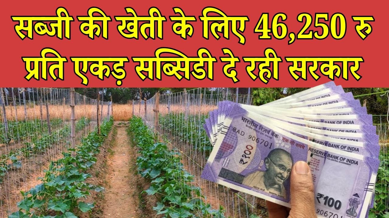 बंबू स्केटिंग