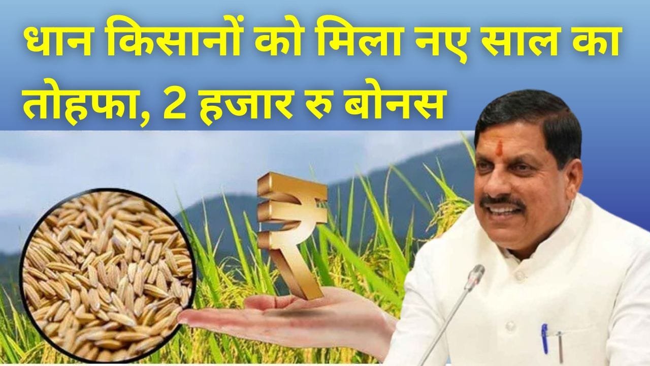 धान के किसानों को बोनस