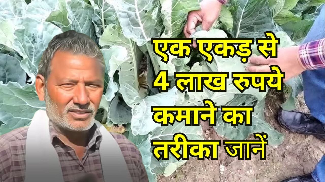Farmer's success story