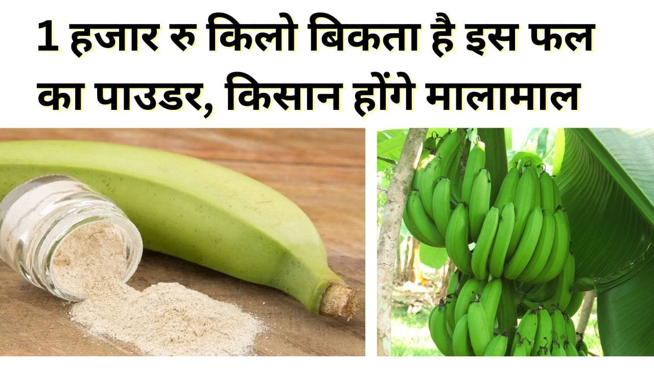 केले का पाउडर