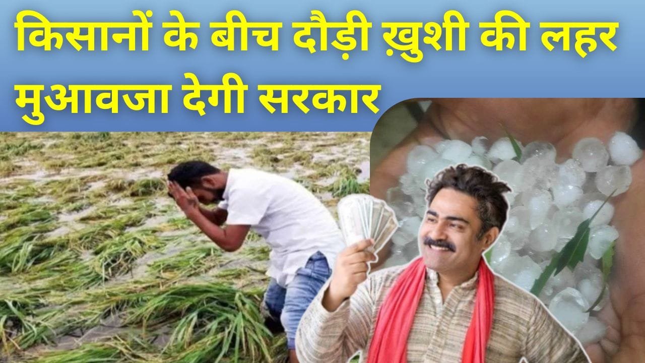 आपदा प्रबंधन विभाग