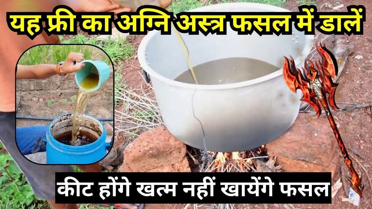 जैविक कीटनाशक