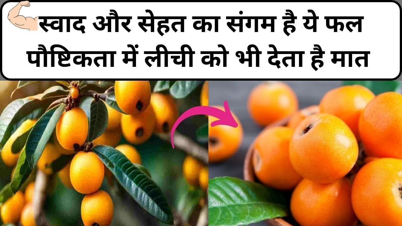 स्वाद और सेहत का संगम है ये फल, पौष्टिकता में लीची को भी देता है मात खेती से कराएगा ताबड़तोड़ आमदनी, जाने नाम और काम काम