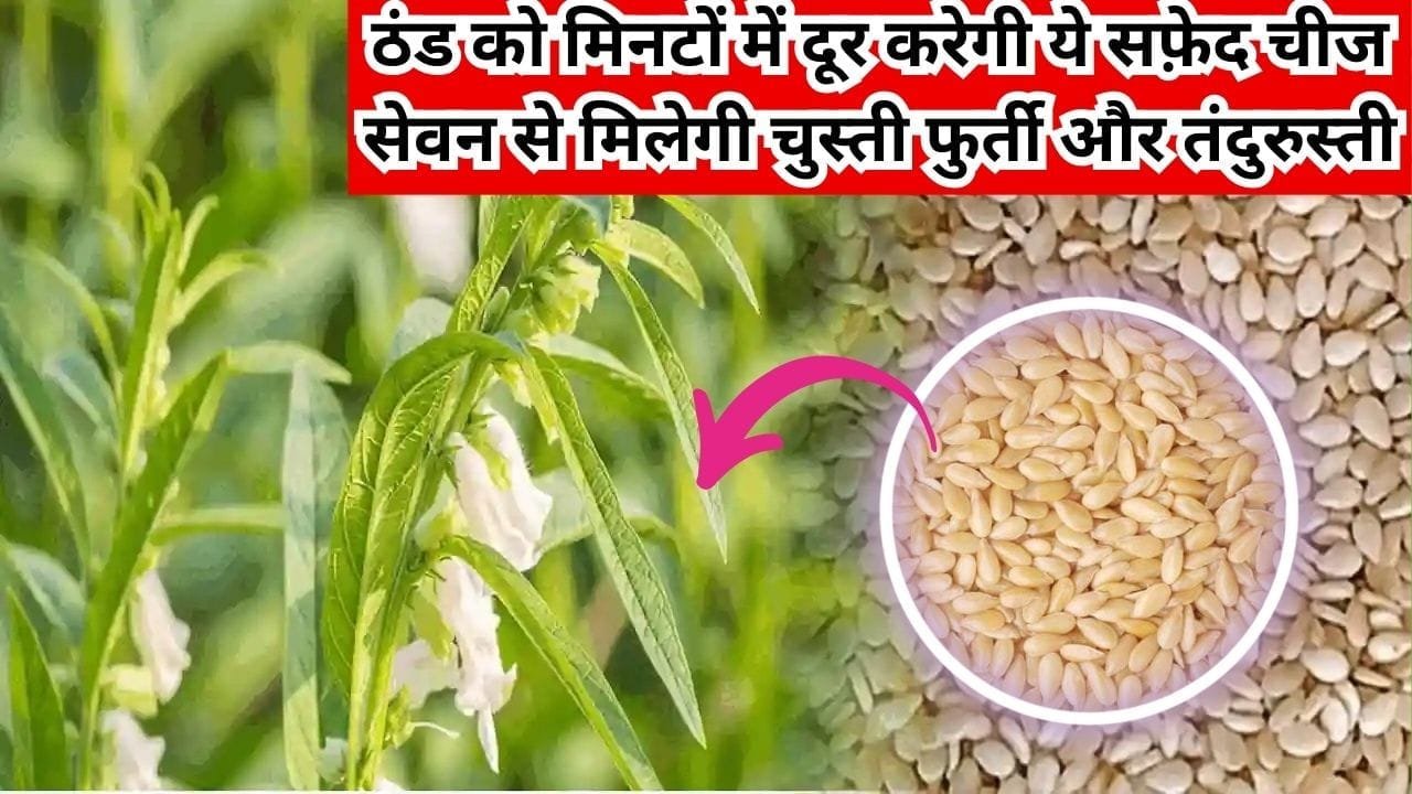 ठंड को मिनटों में दूर करेगी ये सफ़ेद चीज, सेवन से मिलेगी चुस्ती फुर्ती और तंदुरुस्ती, जाने नाम और काम