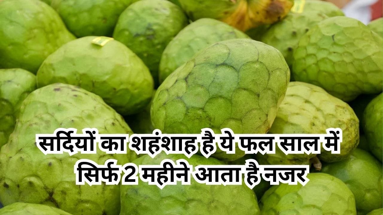 सर्दियों का शहंशाह है ये फल, सेवन से कड़ाके की ठंड में शरीर को देता है गर्मी साल में सिर्फ 2 महीने आता है नजर, जाने नाम और काम