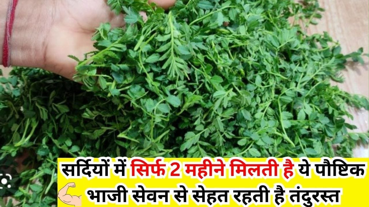 सर्दियों में सिर्फ 2 महीने मिलती है ये पौष्टिक भाजी, सेवन से सेहत रहती है ताकतवर तंदुरस्त, जाने नाम और काम