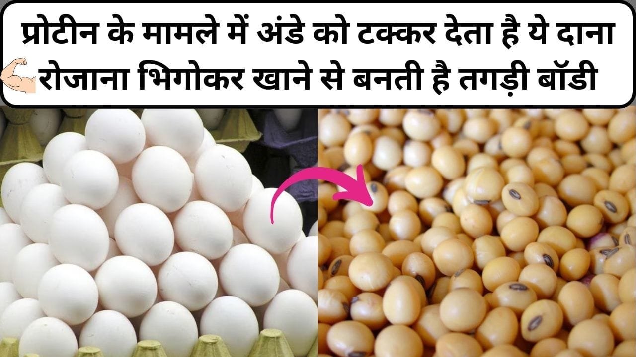 प्रोटीन के मामले में अंडे को टक्कर देता है ये दाना, रोजाना भिगोकर खाने से बनती है तगड़ी बॉडी, जाने नाम और काम