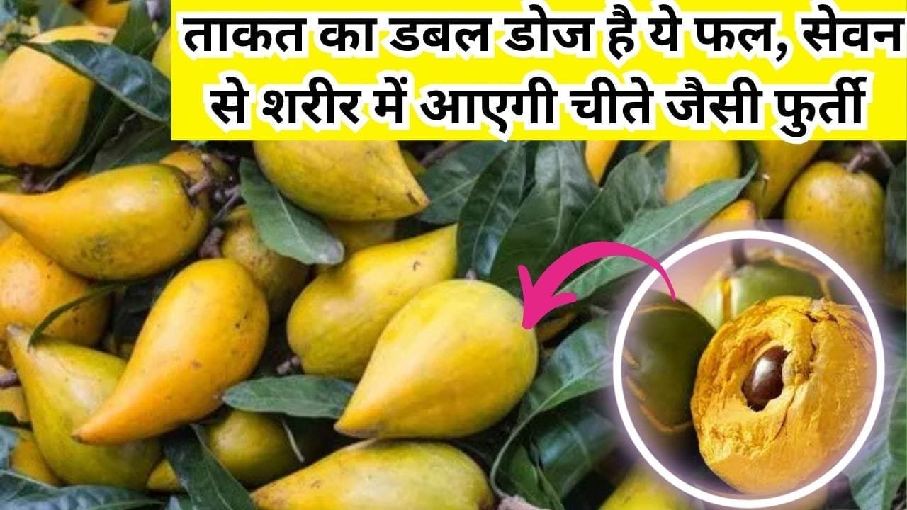 ताकत का डबल डोज है ये फल, सेवन से शरीर में आएगी चीते जैसी फुर्ती इम्यूनिटी पावर होगी 4 गुना स्ट्रांग, जाने नाम और काम