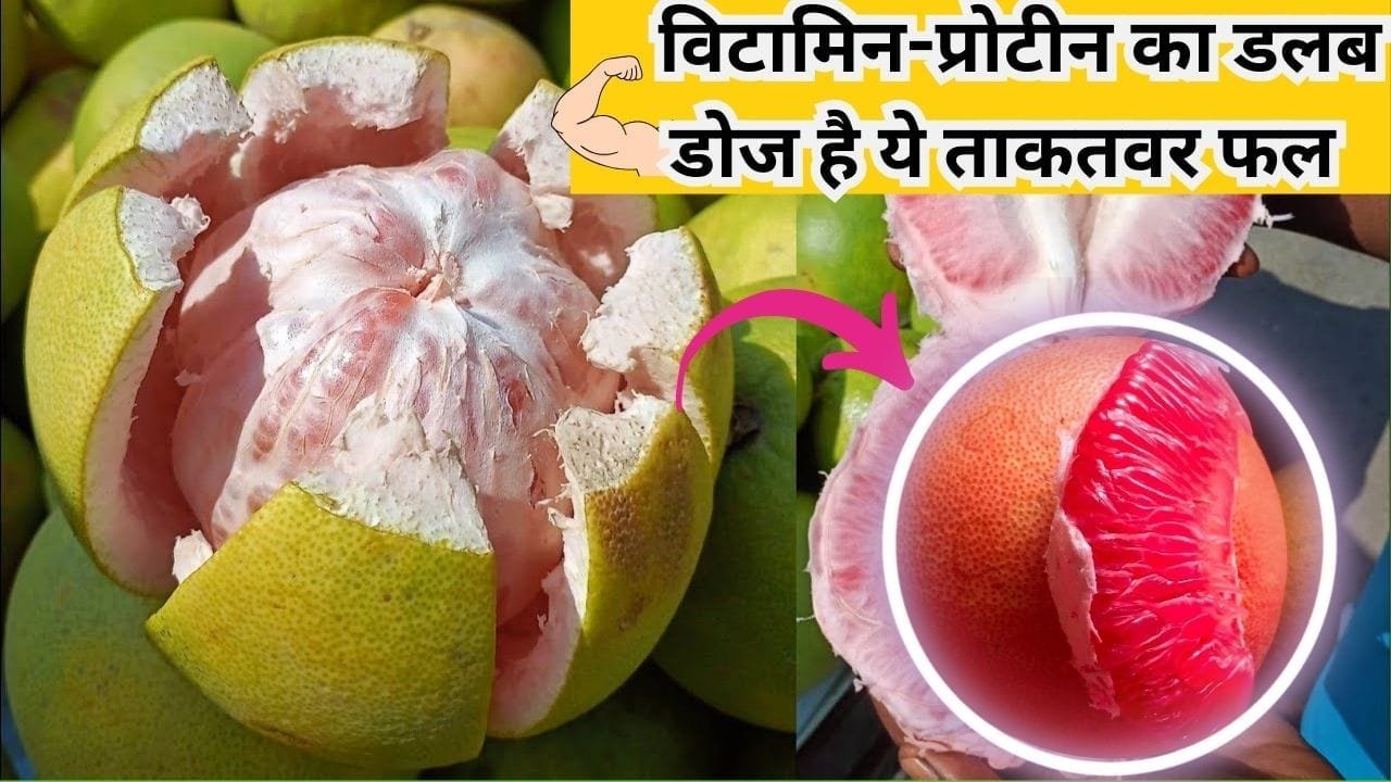 विटामिन-प्रोटीन का डलब डोज है ये ताकतवर फल, मसल्स फुलाने में काजू बादाम को भी देता है मात सेवन से मिलेंगे गजब के फायदे, जाने नाम