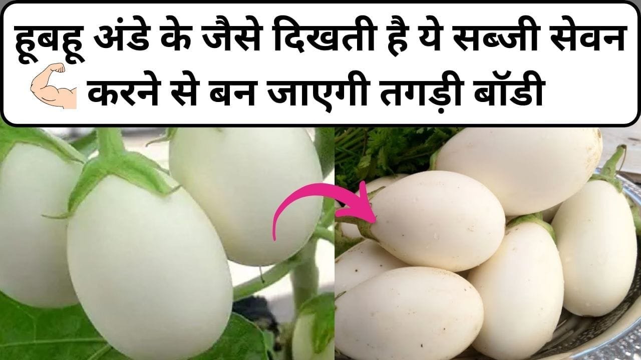 हूबहू अंडे के जैसे दिखती है ये सब्जी, सेवन करने से बन जाएगी तगड़ी बॉडी फायदे जान कर हो जाएंगे हैरान, जाने नाम और काम