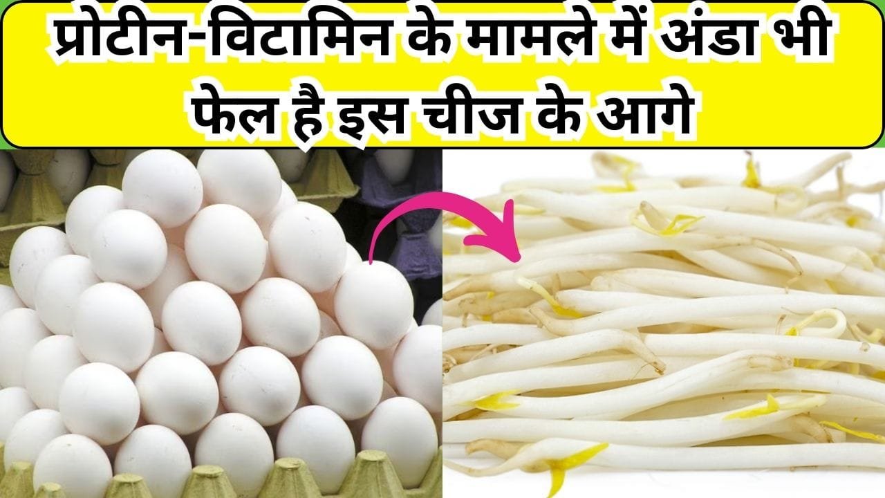 प्रोटीन-विटामिन के मामले में अंडा भी फेल है इस चीज के आगे, सेवन से महीने भर में बन जाएगी तगड़ी बॉडी, जाने नाम