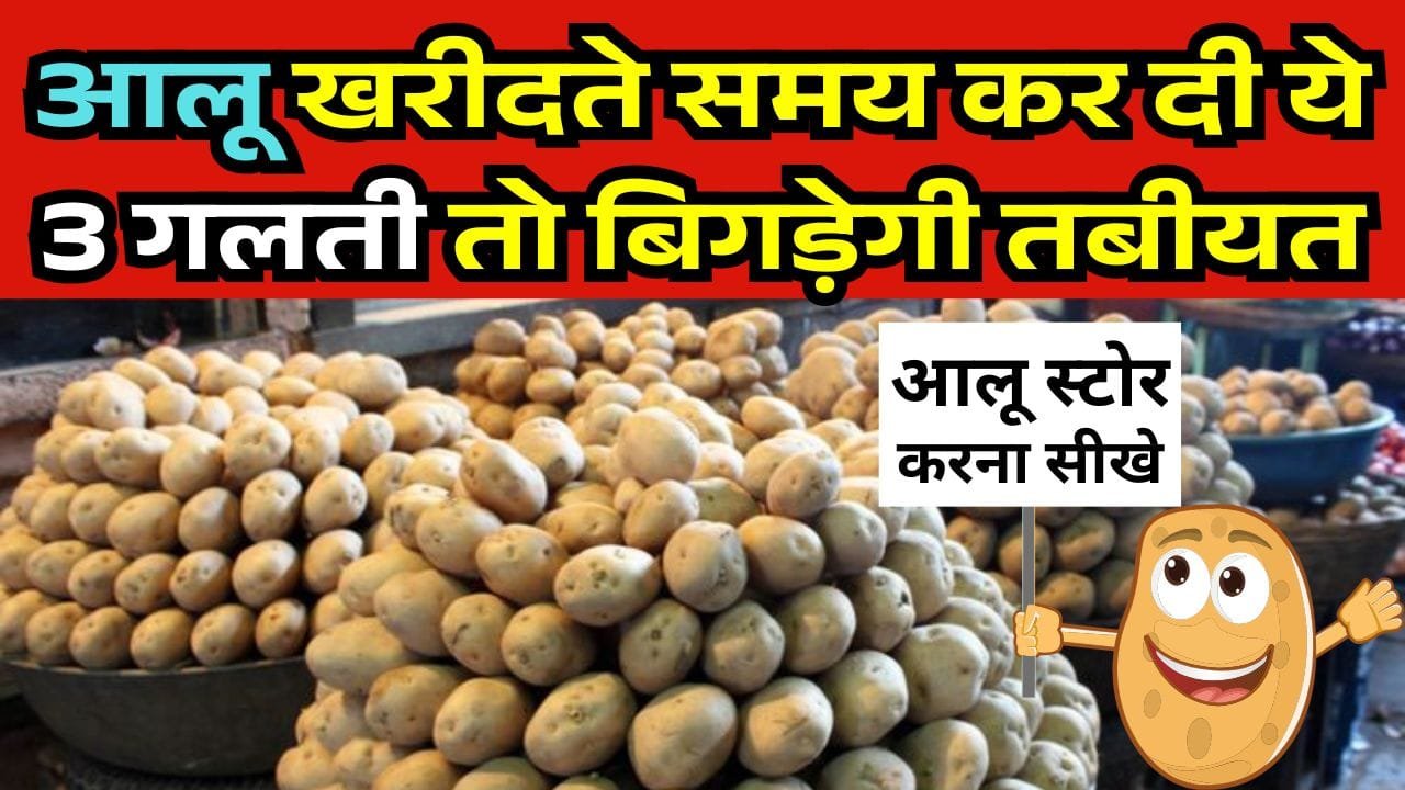 आलू स्टोर