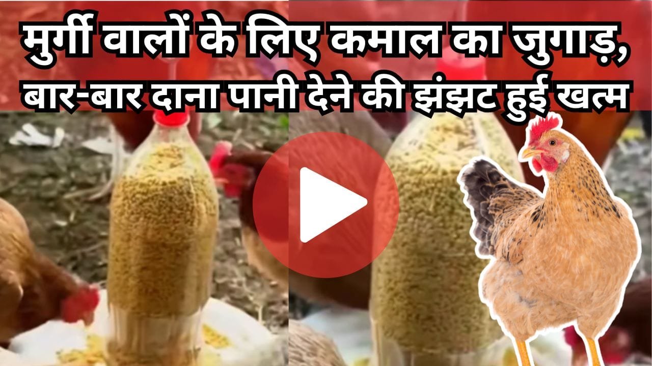 दाना-पानी के लिए जुगाड़