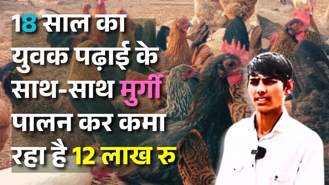 मुर्गी पालन