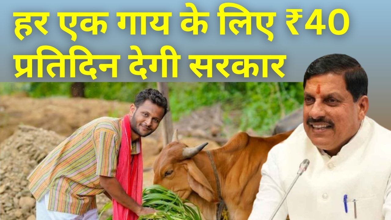 आधुनिक गौशाला