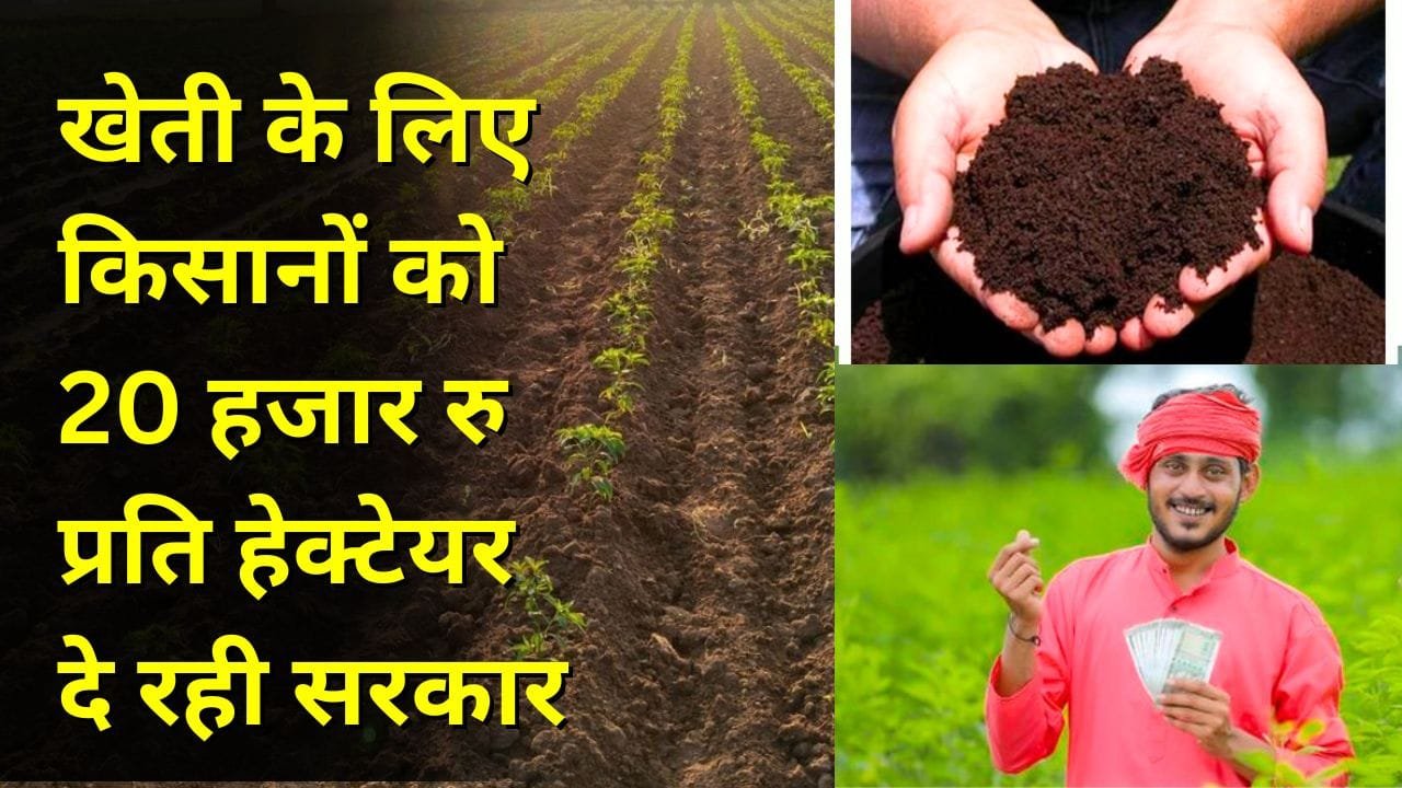 जैविक खेती पर अनुदान