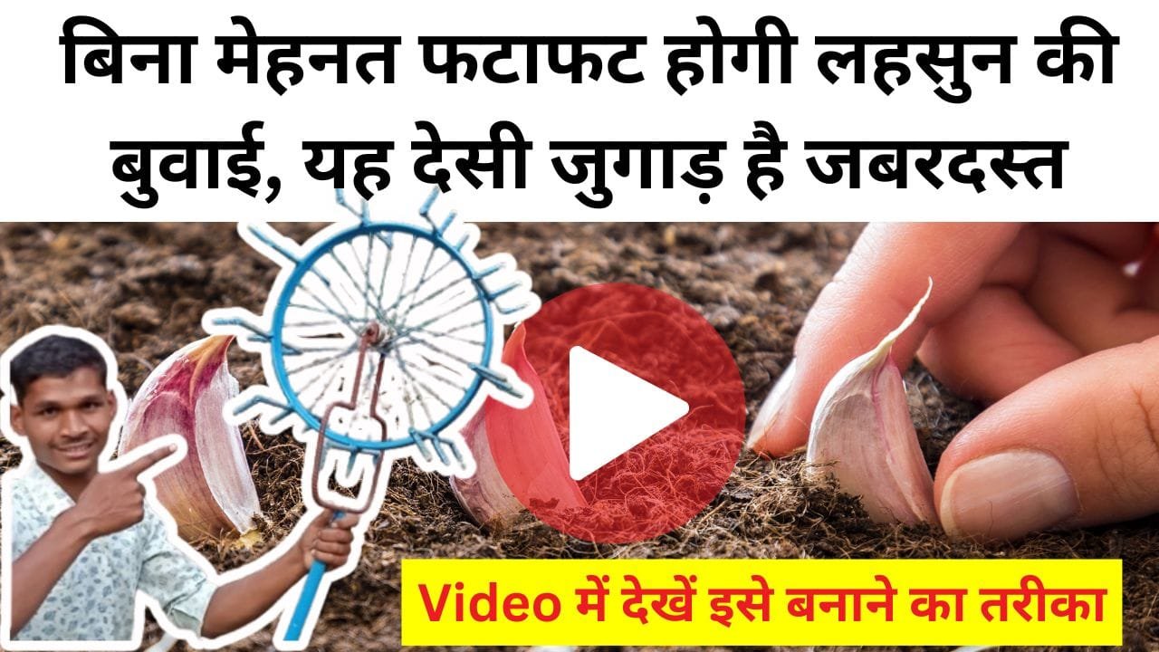 बिना मेहनत फटाफट होगी लहसुन की बुवाई, यह देसी जुगाड़ है जबरदस्त, Video में देखें इसे बनाने का तरीका、