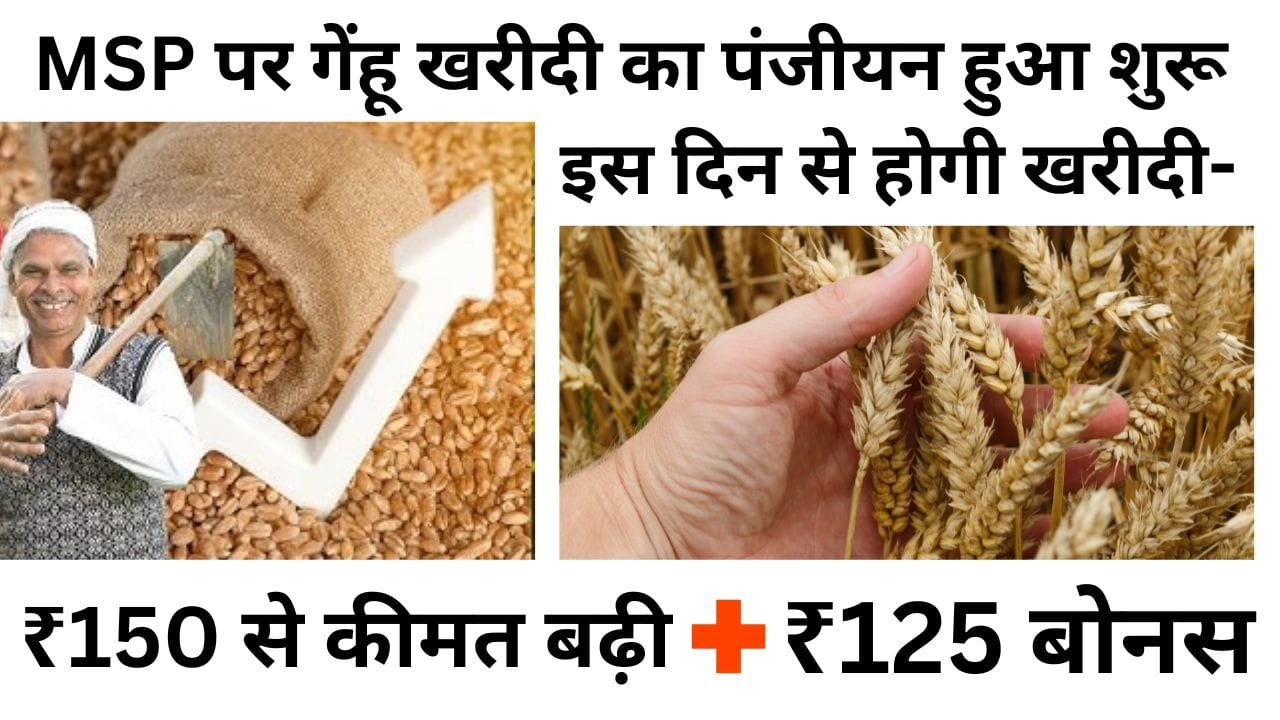 गेहूं की खरीदी