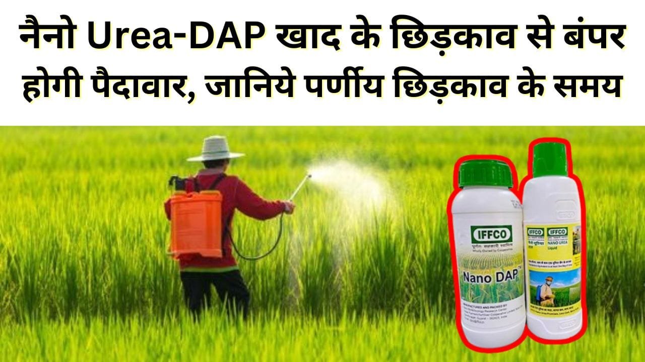 पर्णीय छिड़काव का समय