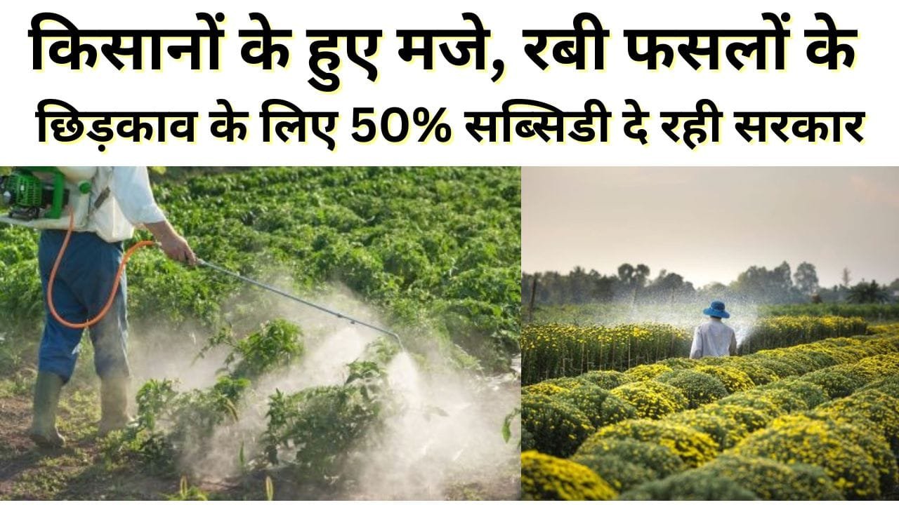 प्लांट प्रोटक्शन विभाग