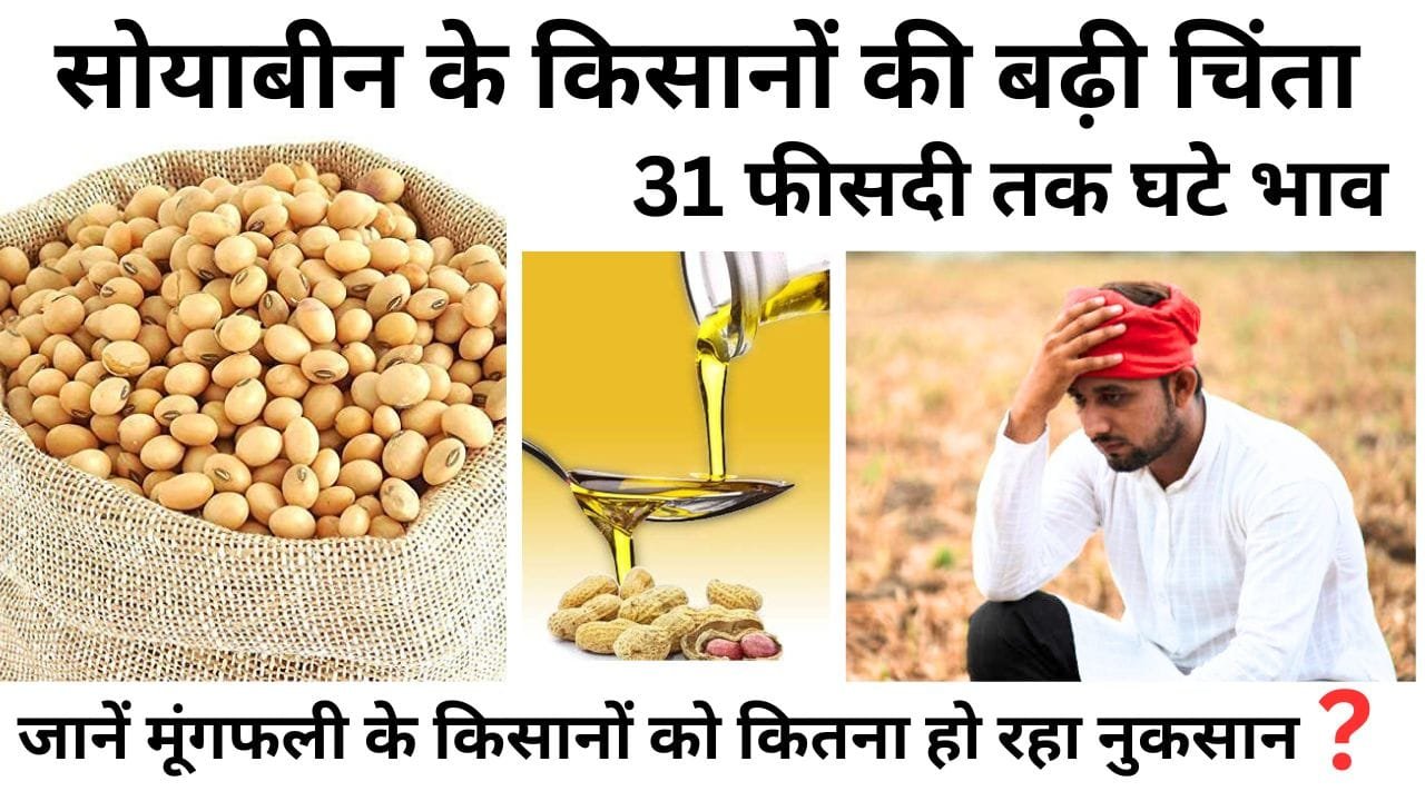 सोयाबीन-मूंगफली की MSP