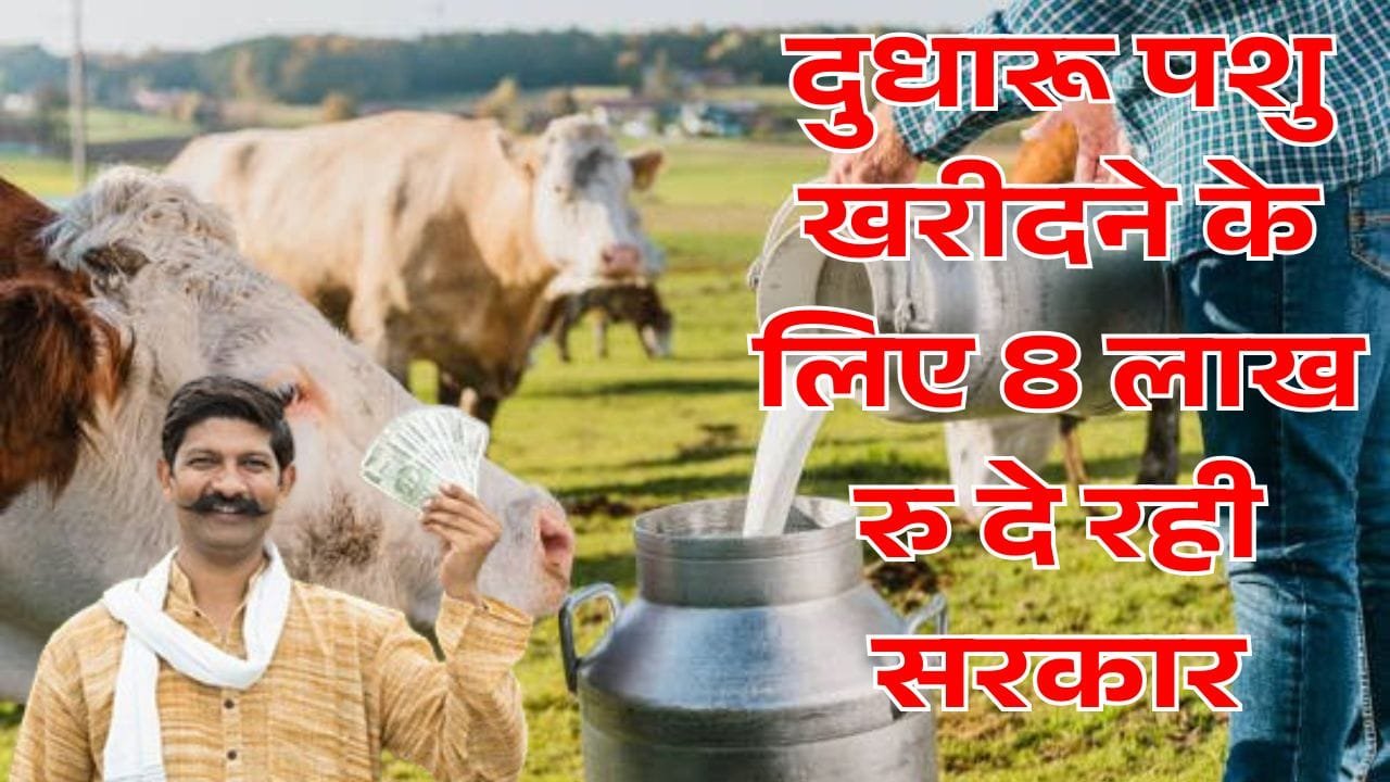 समग्र गव्य विकास योजना