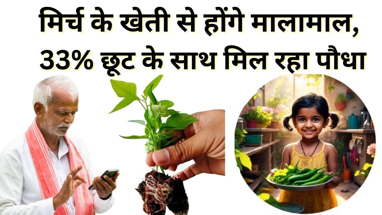 राष्ट्रीय बीज निगम