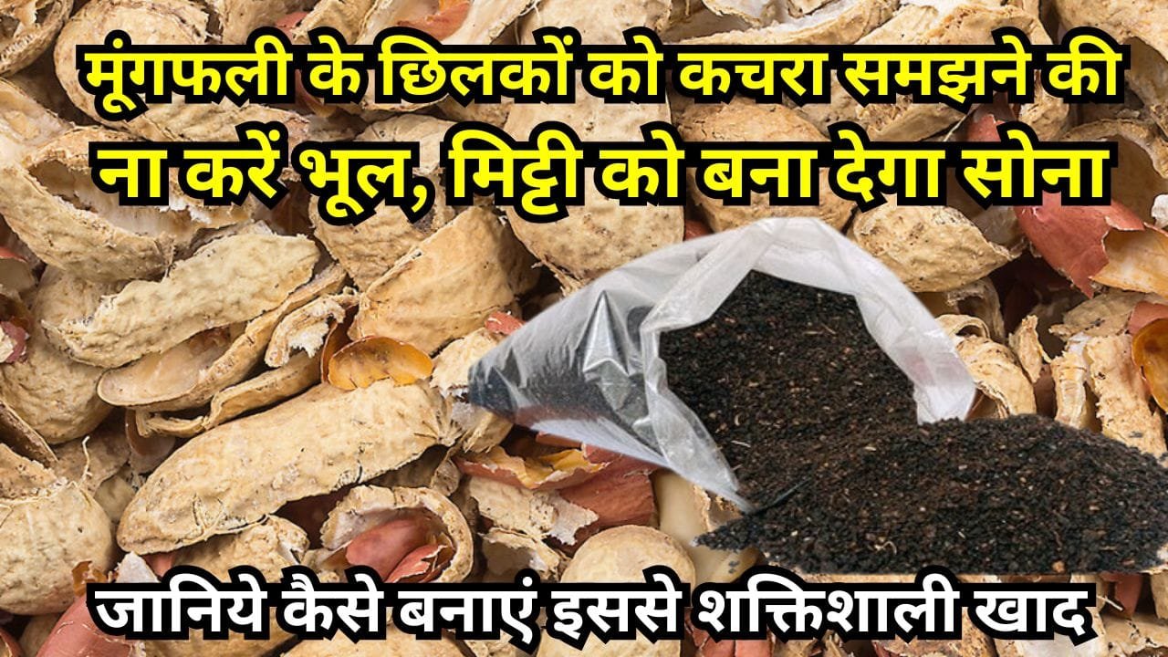 मूंगफली के छिलकों की खाद