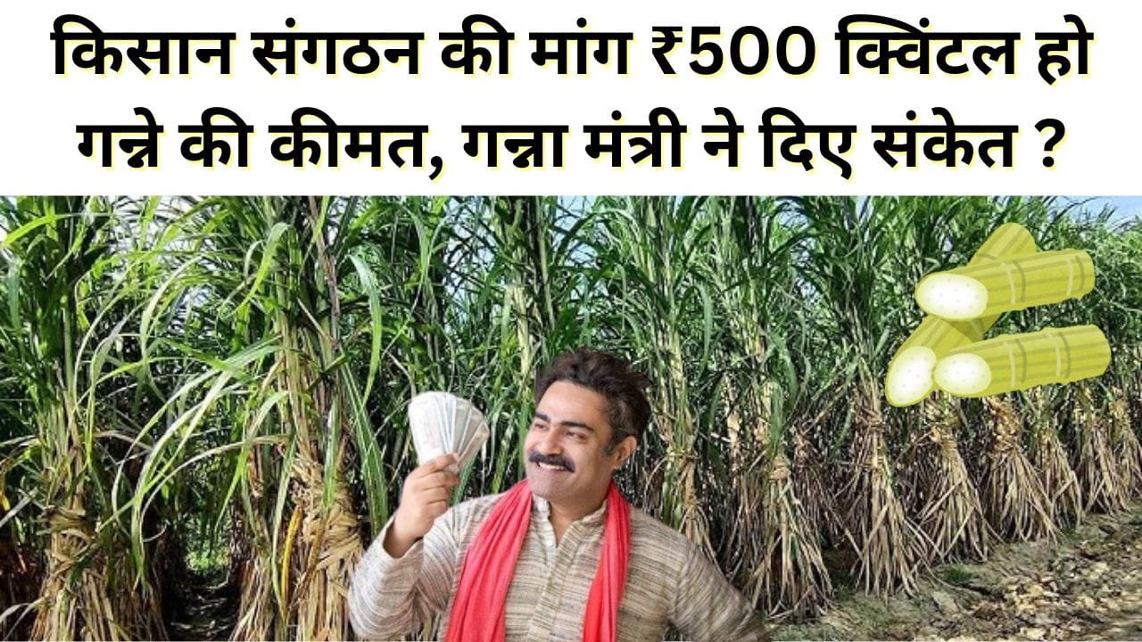 गन्ना के भाव