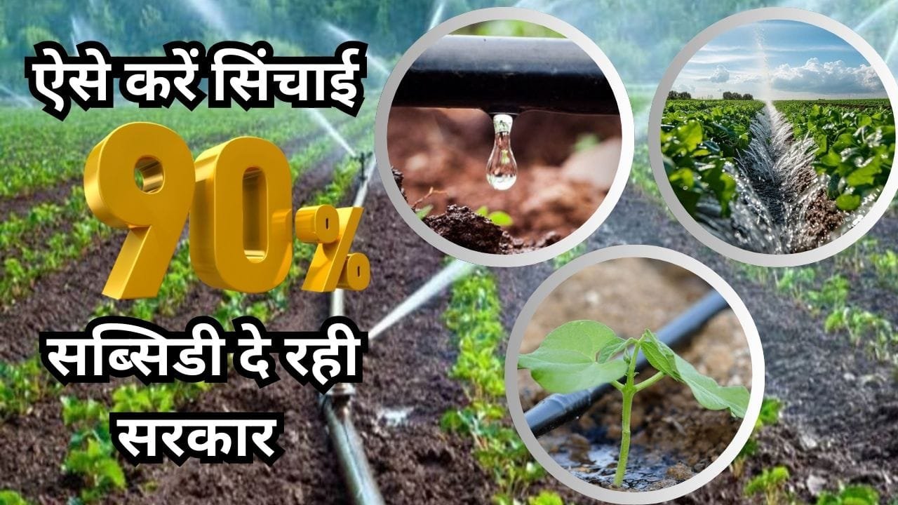 ड्रिप सिंचाई की तकनीक